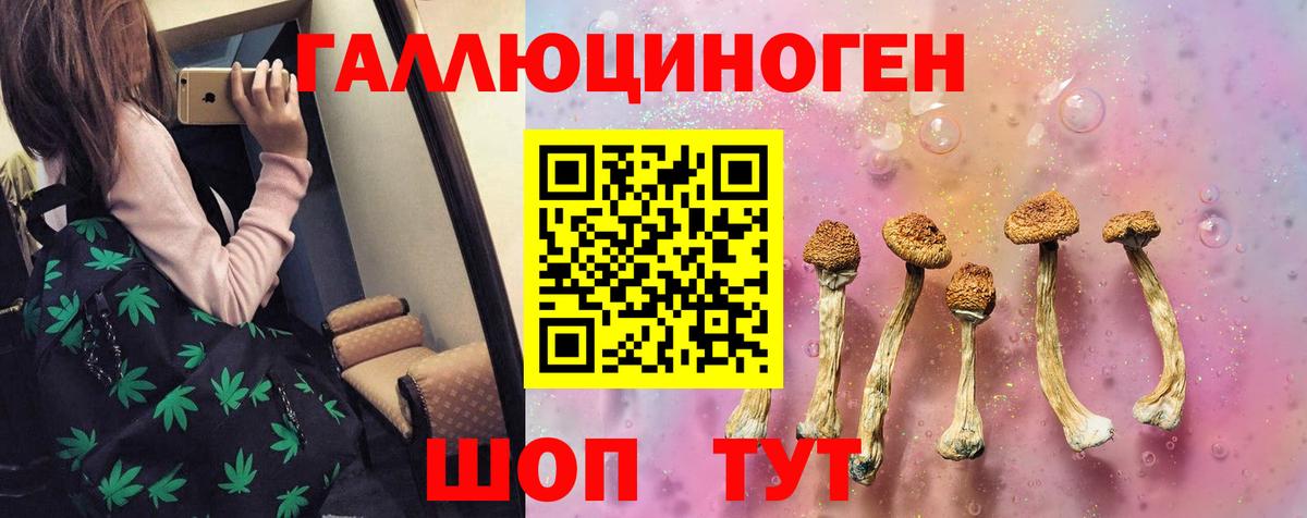 Протвино  Псилоцибиновые грибы мицелий  Галлюциногенные грибы GOLDEN TEACHER  Вход с VPN 